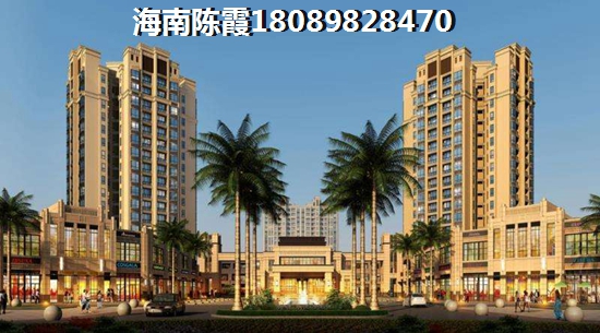 海南岛热带风情，度假天堂的无限魅力。